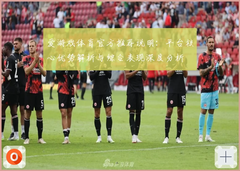 爱游戏体育官方推荐说明：平台核心优势解析与综合表现深度分析